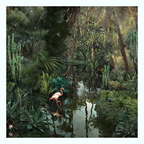 Backwaters Springs Art Print