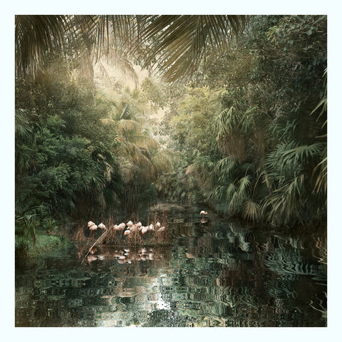 Backwaters Morning Art Print