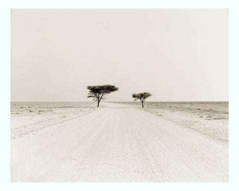 Etosha Art Print