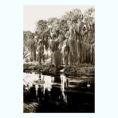 Backwaters Springs Art Print