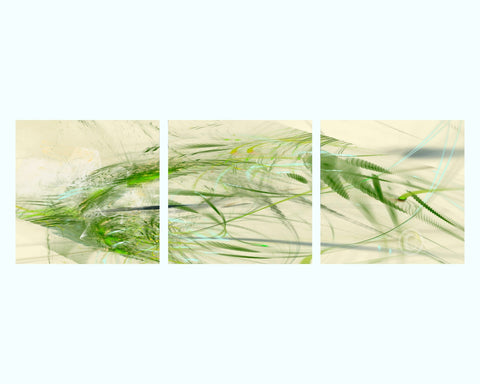 Anacapa Art Print