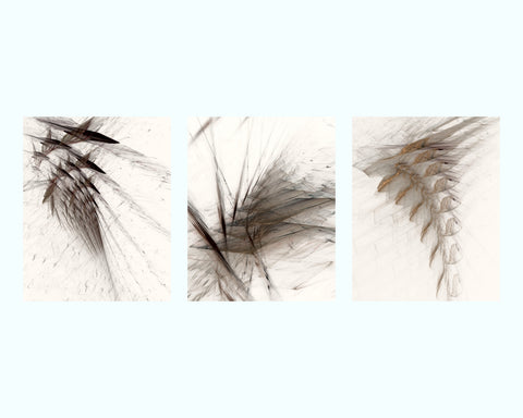 Anacapa Art Print