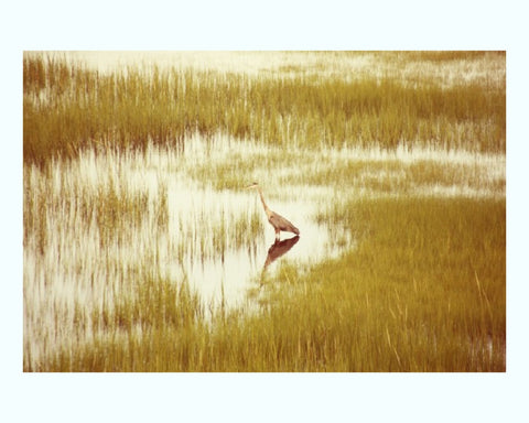 Weaving Water, Australia Art Print