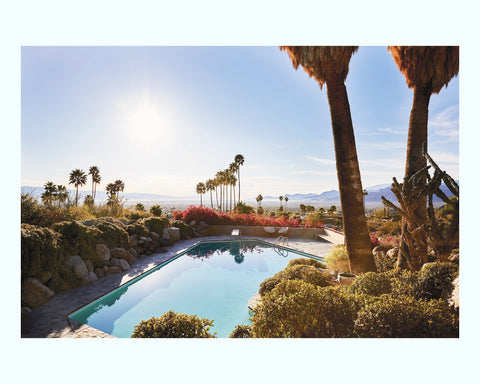 Palm Springs Art Print