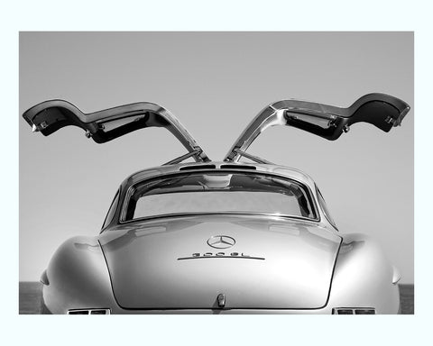 Porsche 356 Speedster Art Print