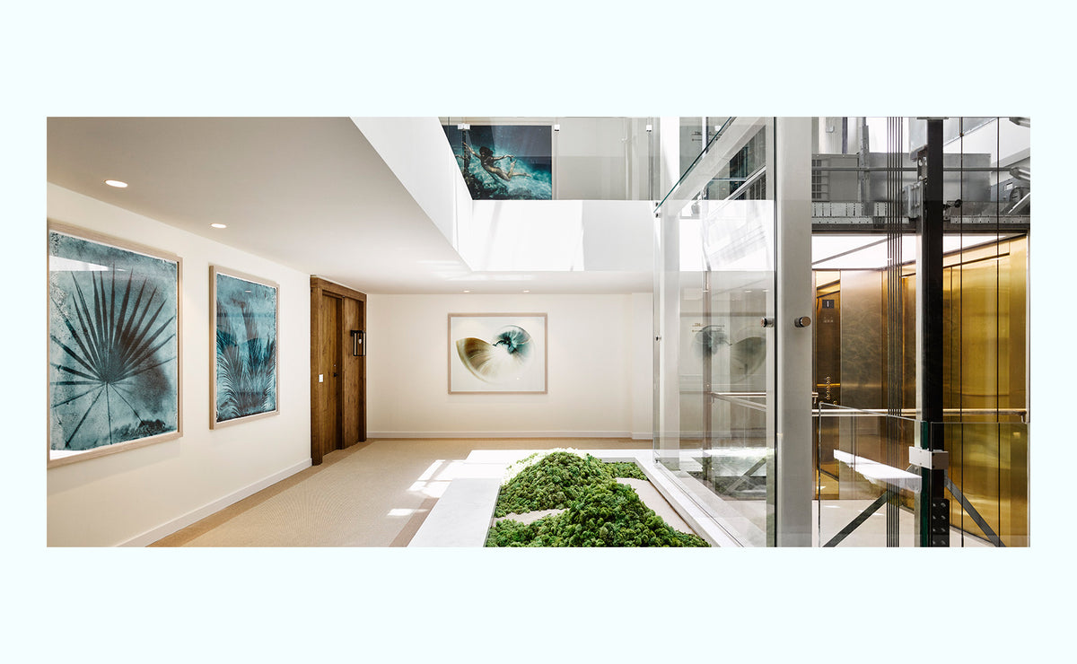 Palmetto Palm Art Print Set - 55MAX