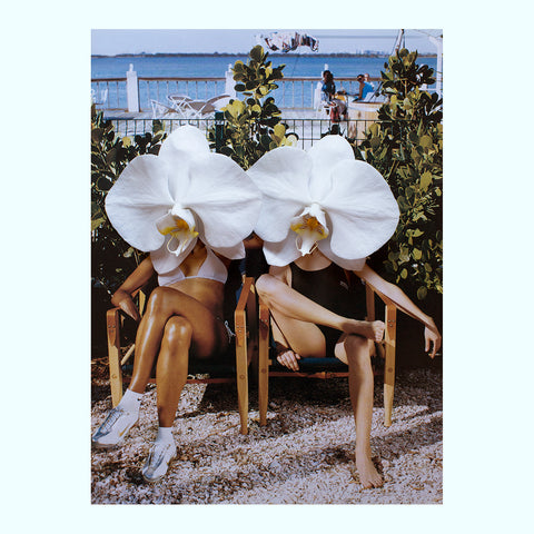 Sweet Nothings Art Print