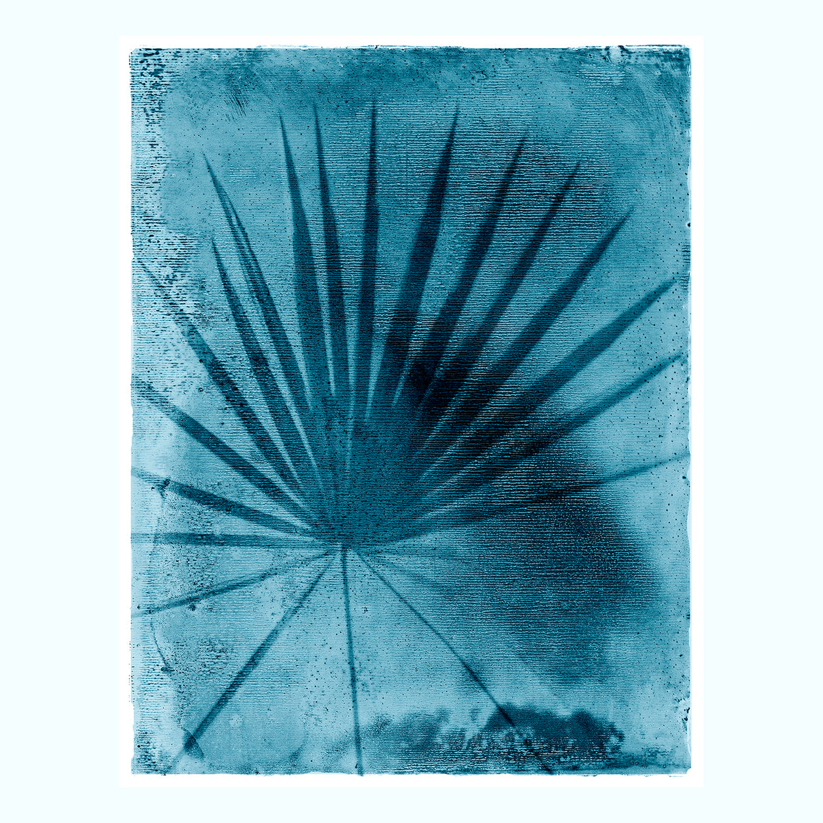 Palmetto Palm Art Print Set - 55MAX