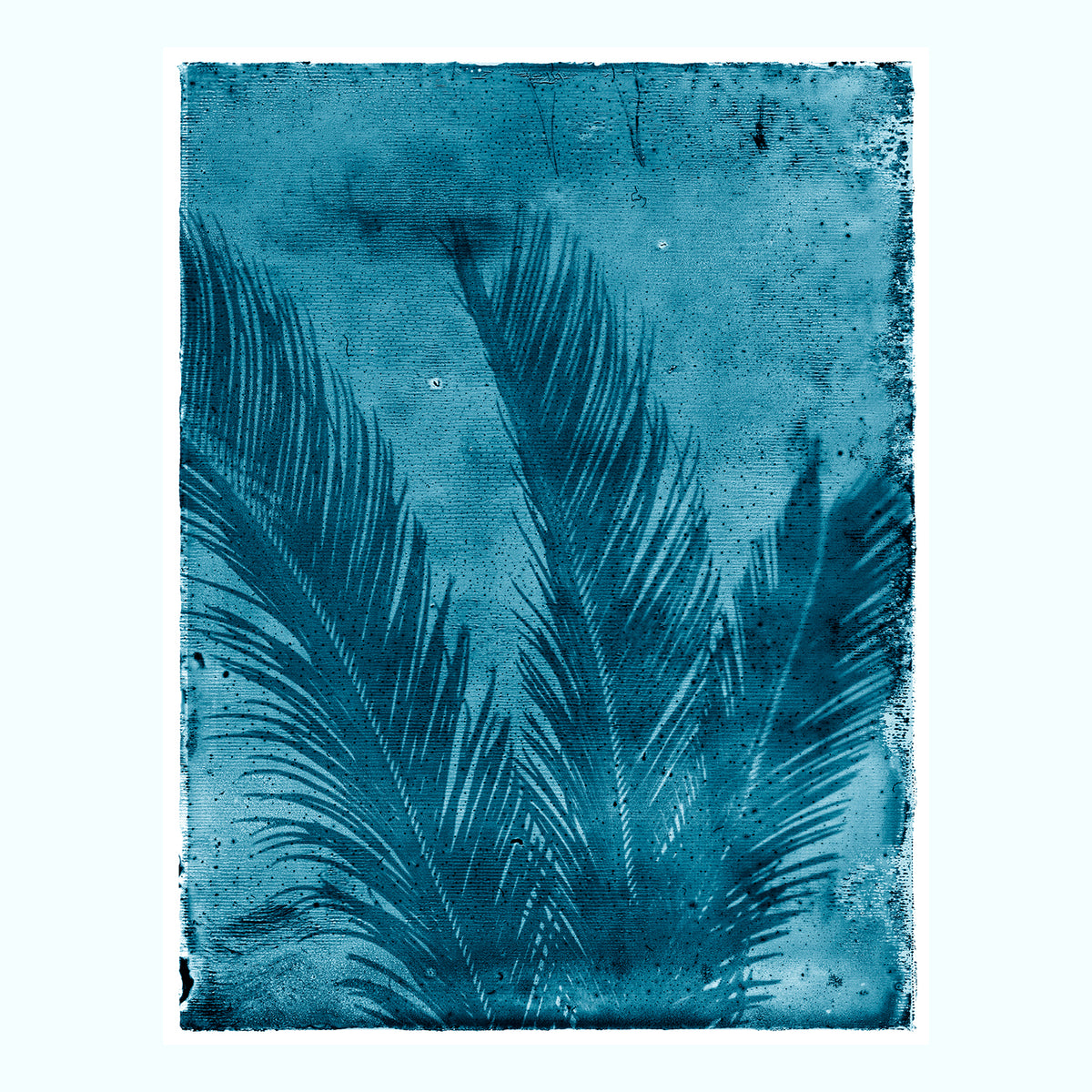 Palmetto Palm Art Print Set - 55MAX