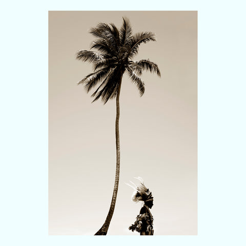 Palm Springs Art Print