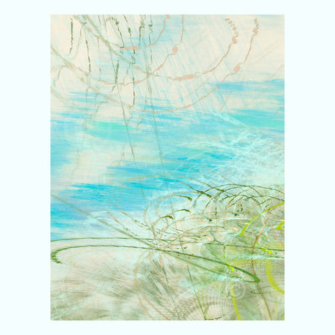 Aqua Nautilus Shell Art Print