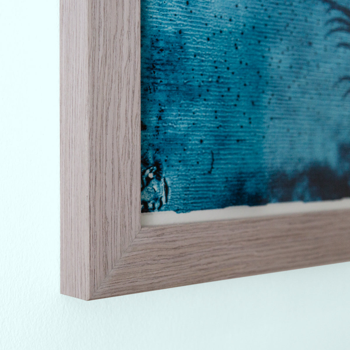 Palmetto Palm Art Print Set - 55MAX