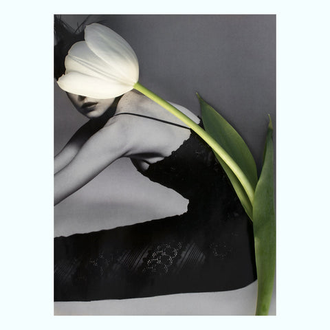 Blind For Love Orchids Art Print