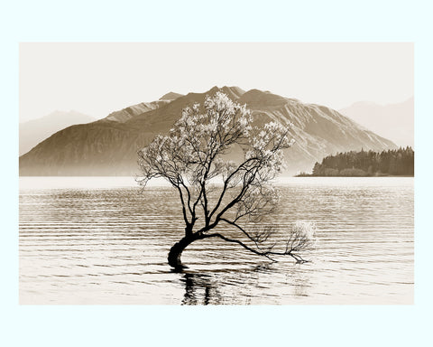 Wanaka Art Print