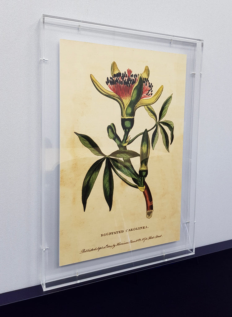 Perspex Box Framing | 55MAX