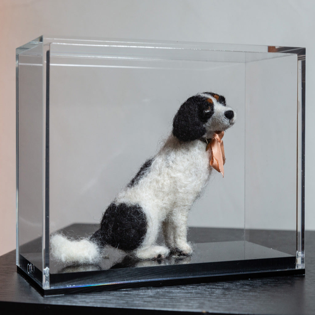 Perspex Box Framing | 55MAX