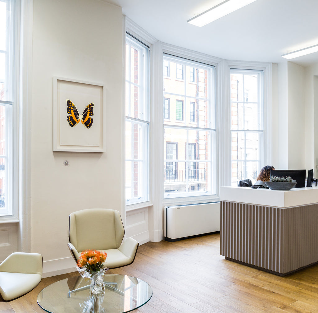 Art Consultants for Offices | 55MAX