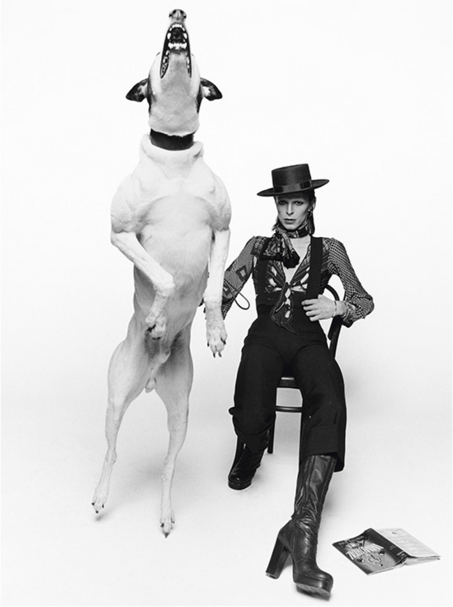David Bowie for Diamond Dogs, 1974 Art Print