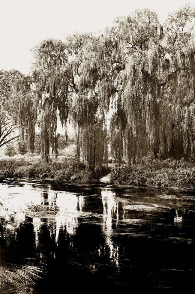 Fordwich Art Print