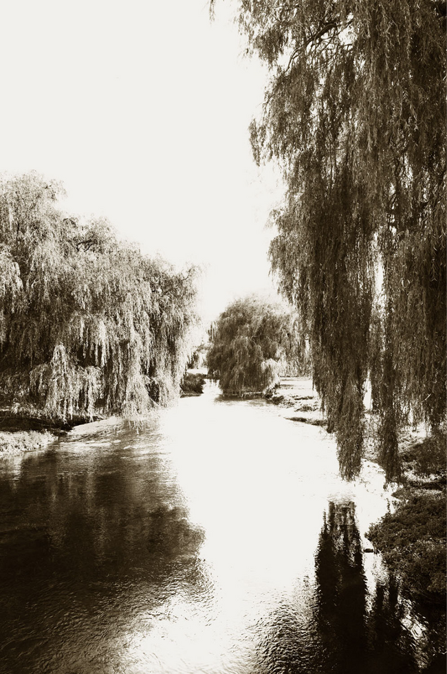 Great Stour Art Print