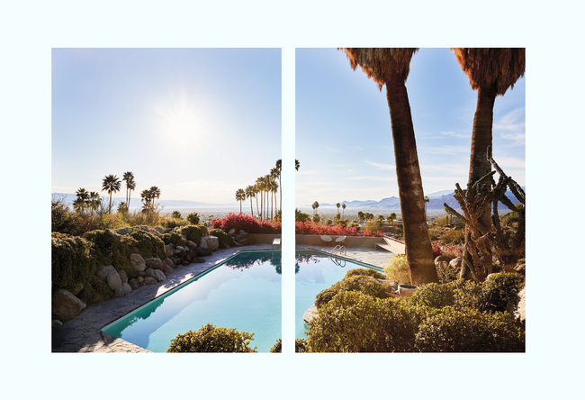 Palm Springs Art Print Diptych