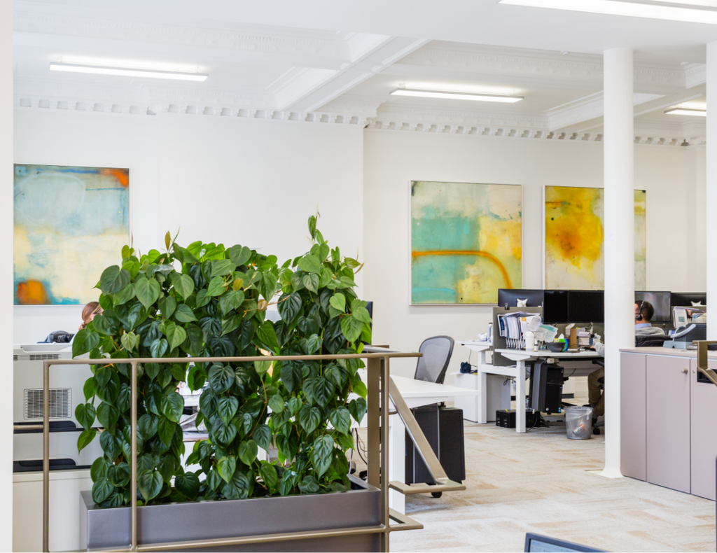 Art Consultants for Offices | 55MAX