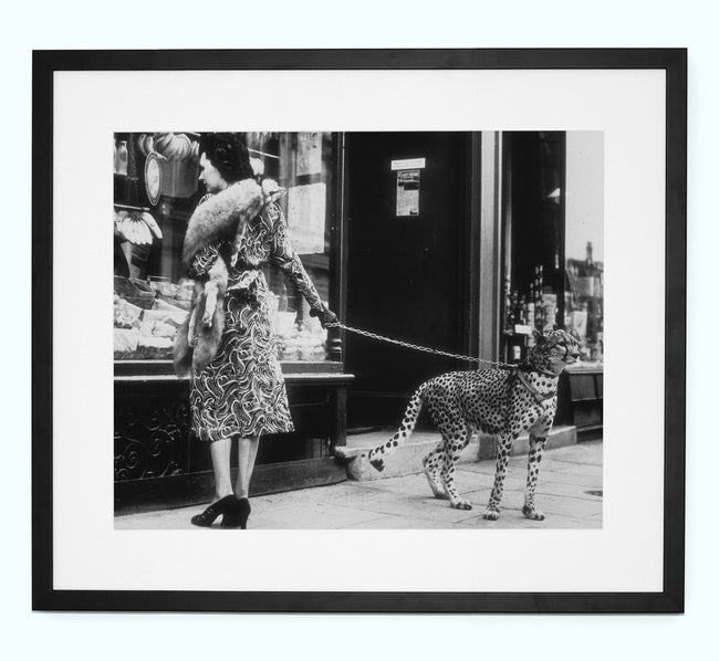 Cheetah That Shops Art Print