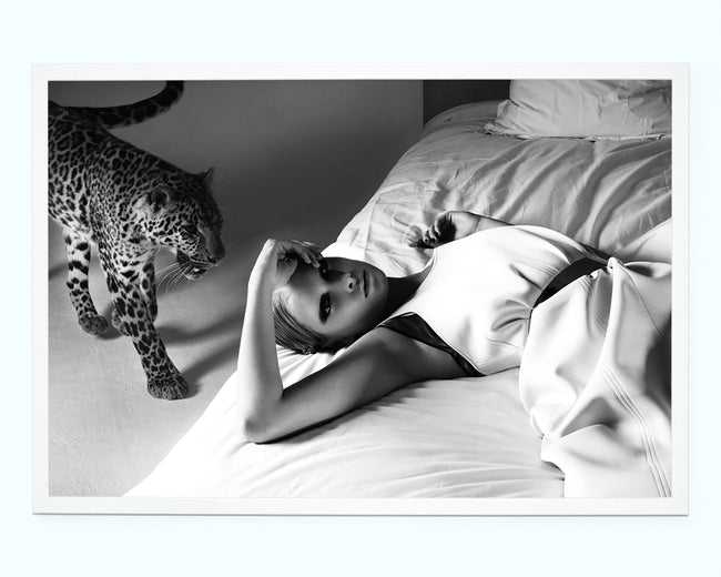 Cheetah in the Bedroom Art Print