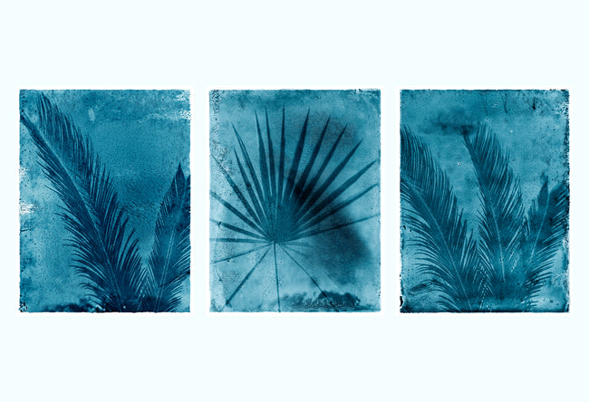 Palmetto Palm Art Print Set