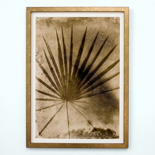 Sepia Palmetto Palm Art Print