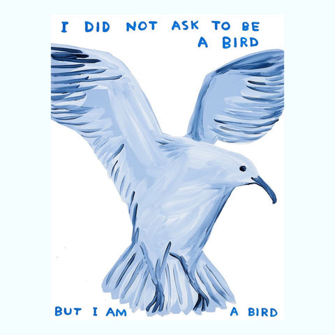 I Did Not Ask To Be A Bird Poster