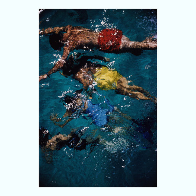 Swimming In The Bahamas Art Print